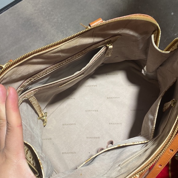 Brahmin - Picture 7 of 10